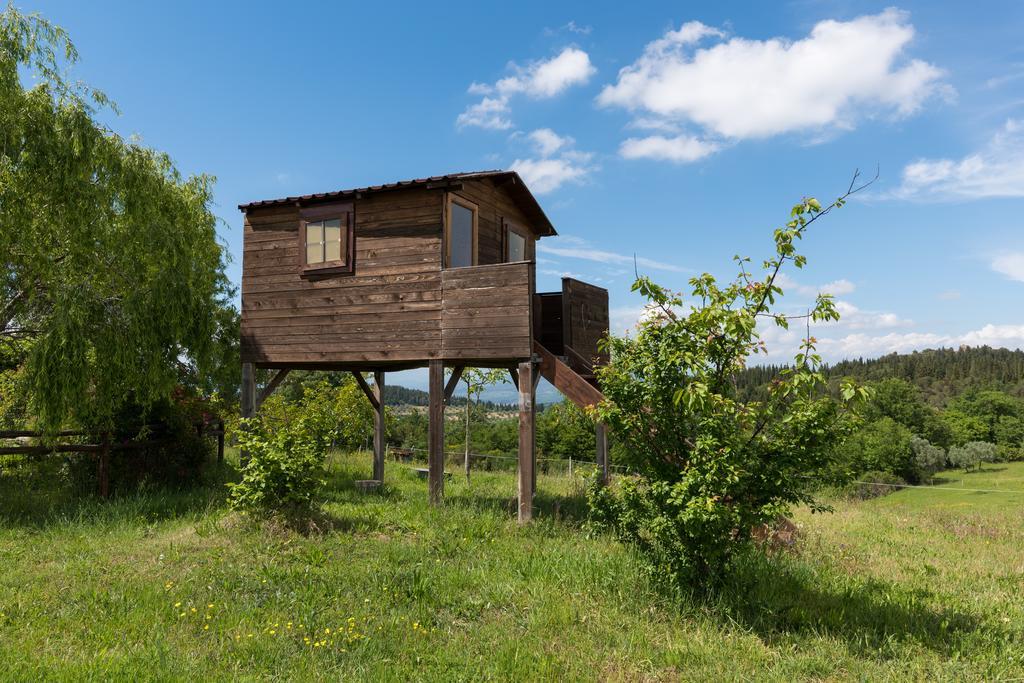 Вілла Azienda Agrituristica Bellavista Монтеспертолі Екстер'єр фото