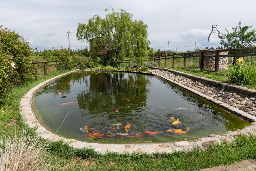 Вілла Azienda Agrituristica Bellavista Монтеспертолі Екстер'єр фото